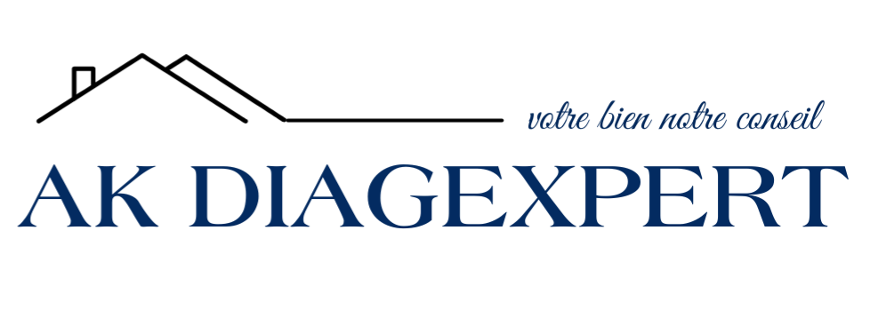 AK DIAG EXPERT
