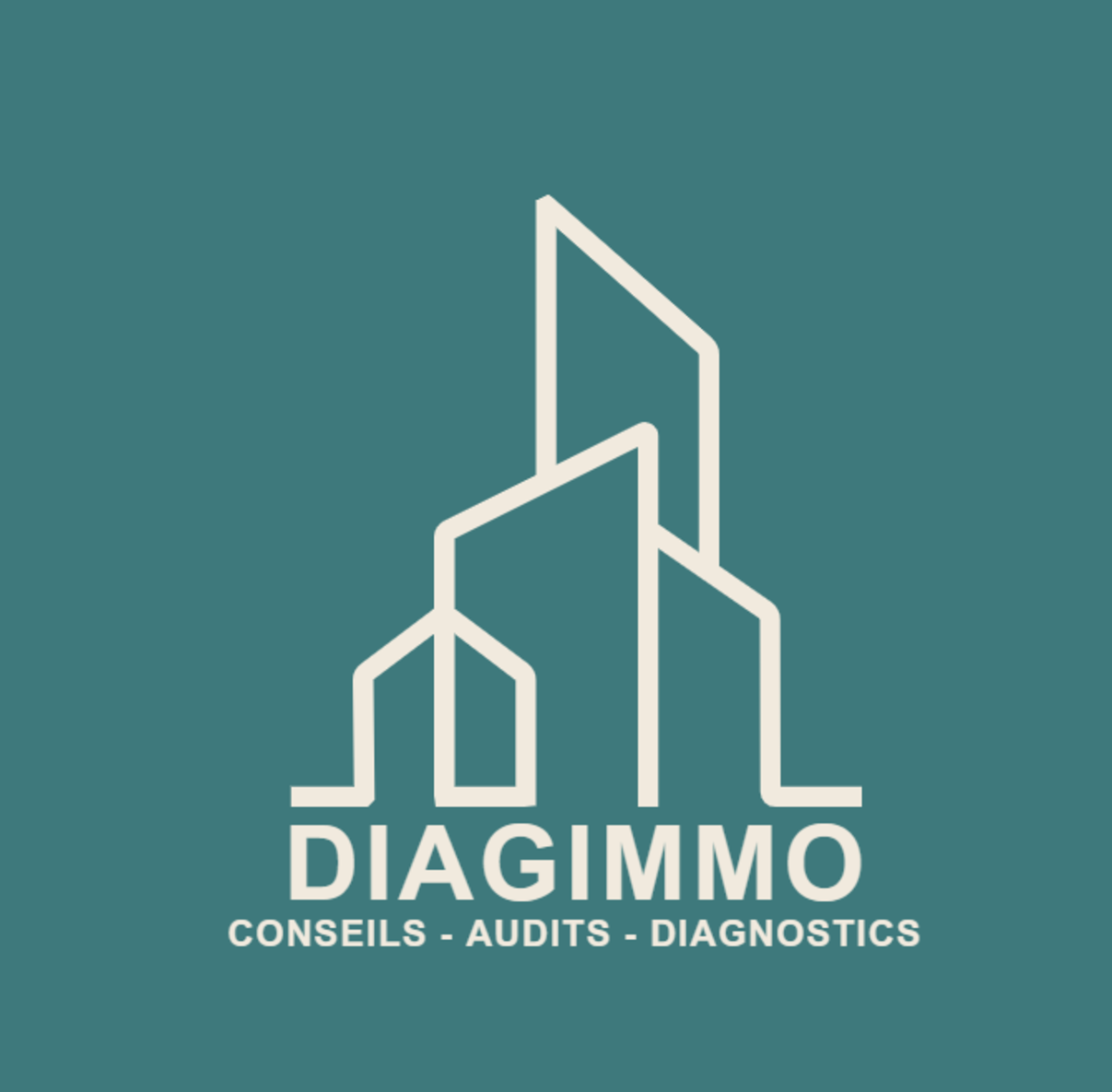 DIAGIMMO CONSEILS & DIAGNOSTICS
