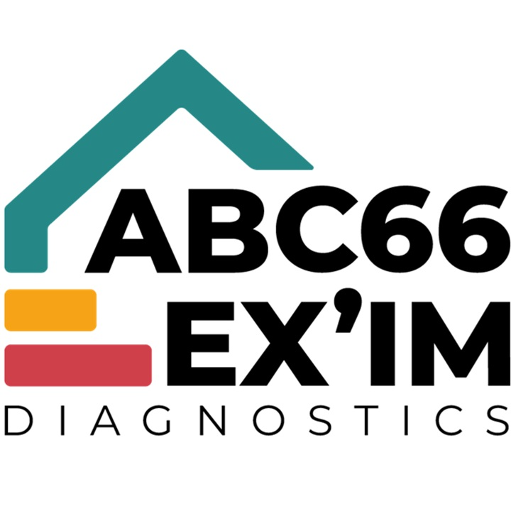 BNG DIAG EXPERTISE - ABC66 EX'IM Diagnostics