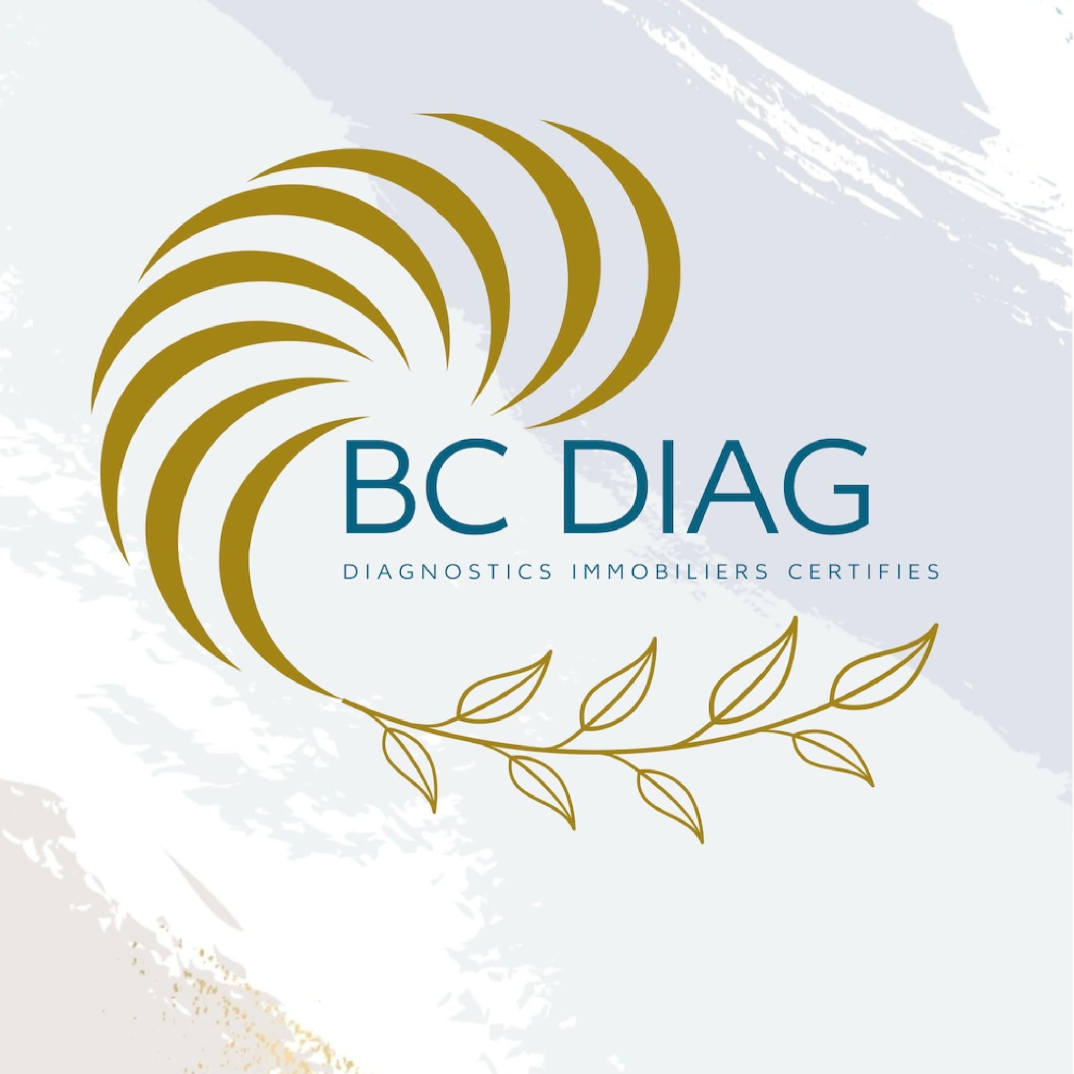 Photo de Bc Diag - Diagnostiqueur immobilier certifié à Frichemesnil