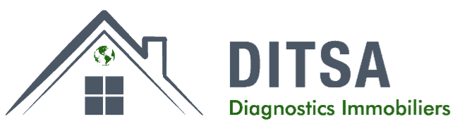 DITSA - Diagnostics & Audits 